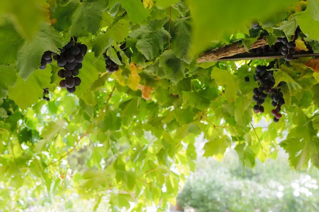 Finca Penya Redona Alquería Blanca 0*,  Ισπανία